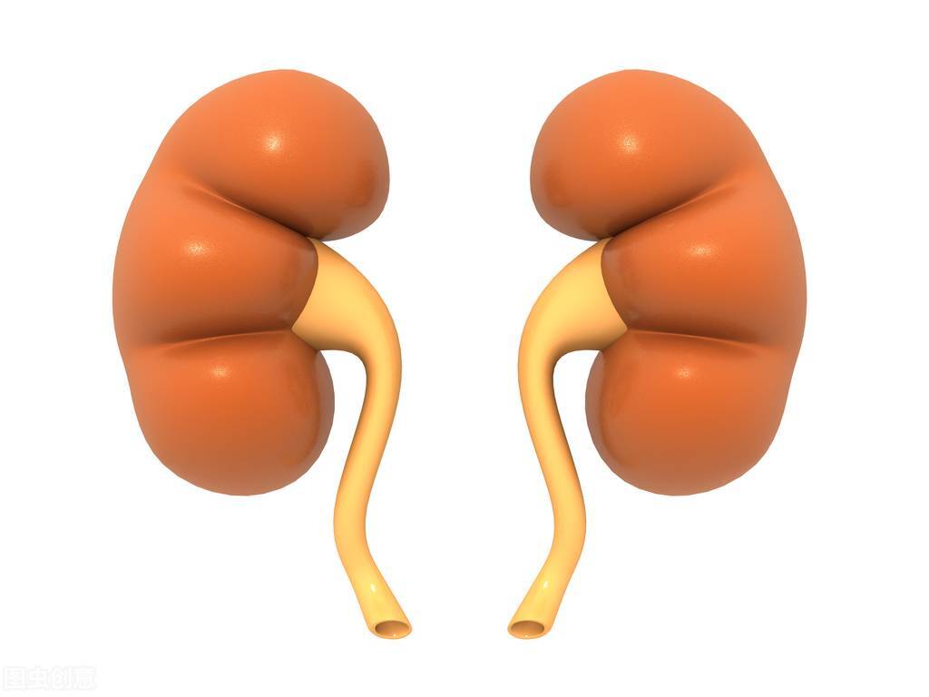 iga肾病1级8年后因感冒病情恶化,感冒不治容易得尿毒症