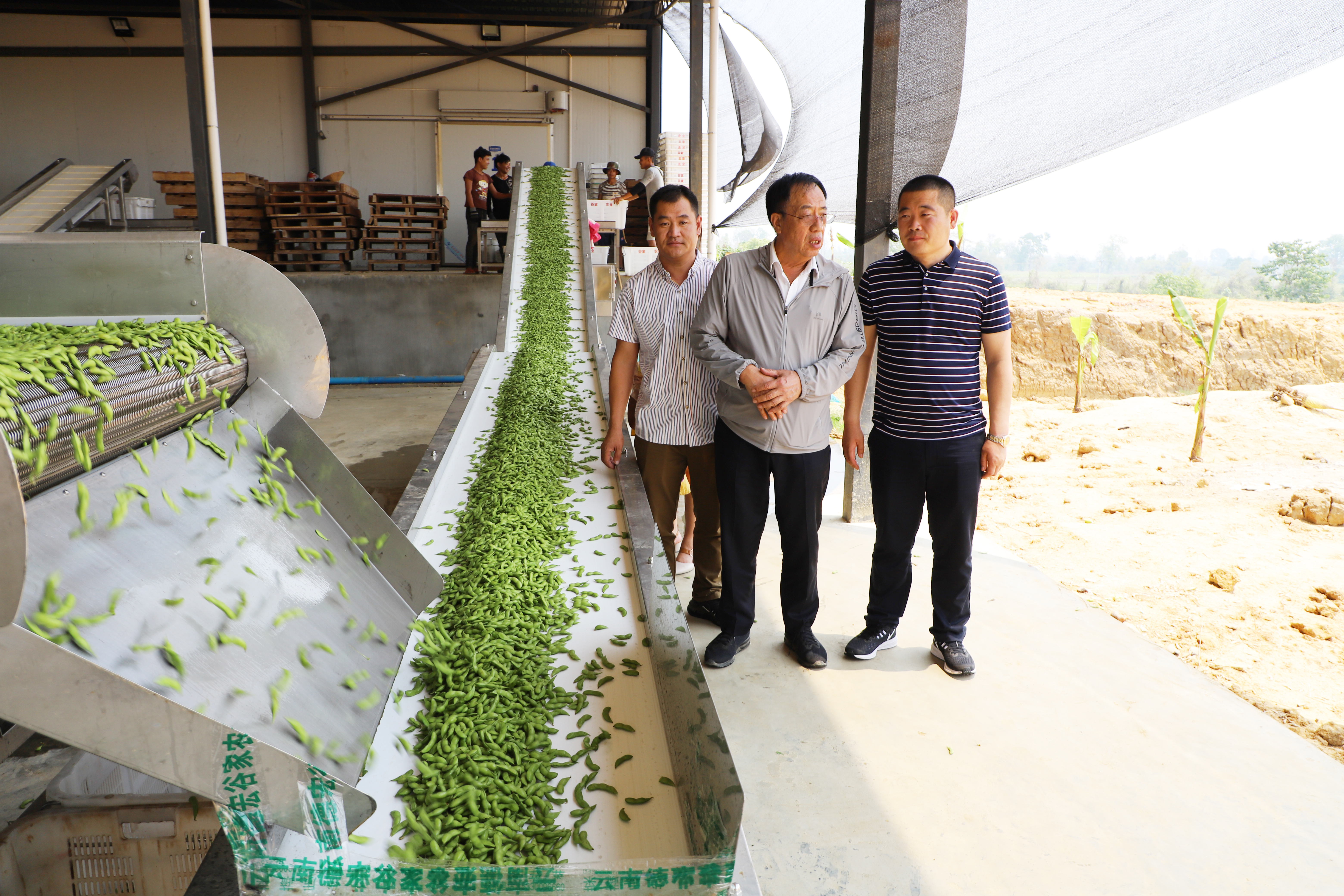 从黑土地走来的人是谁,从黑土地走出来的歌唱家