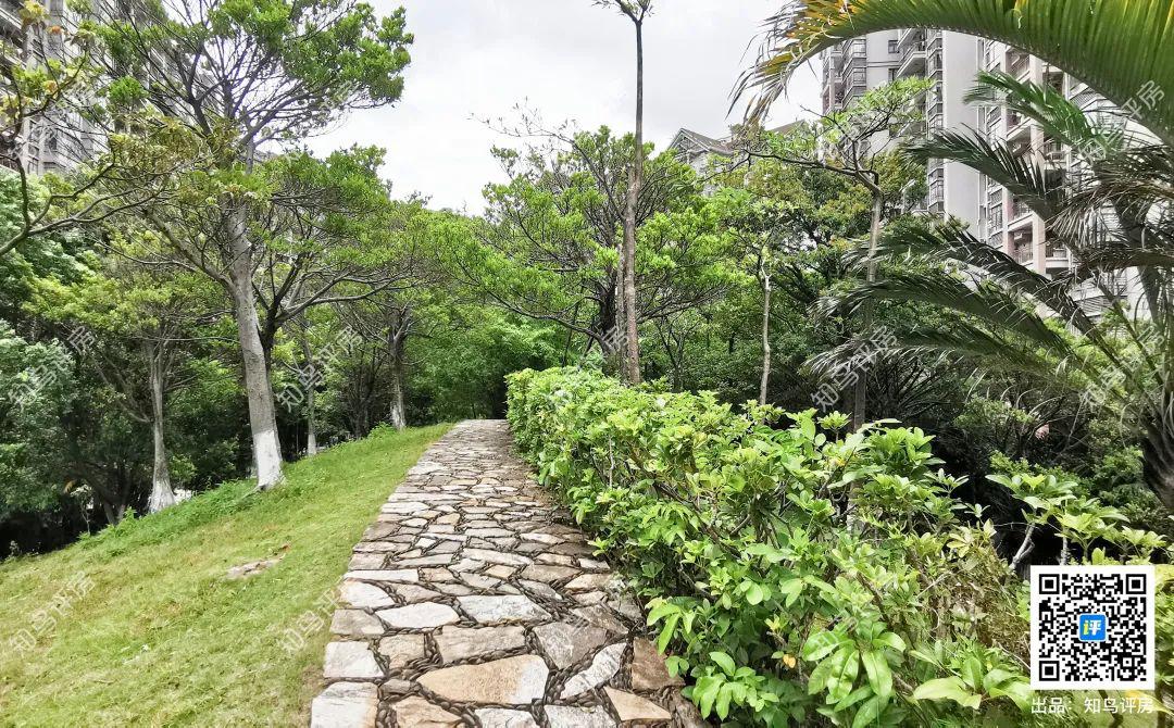 坐拥35公顷水域的横圳水库的虎门丰泰裕田，究竟好在哪里