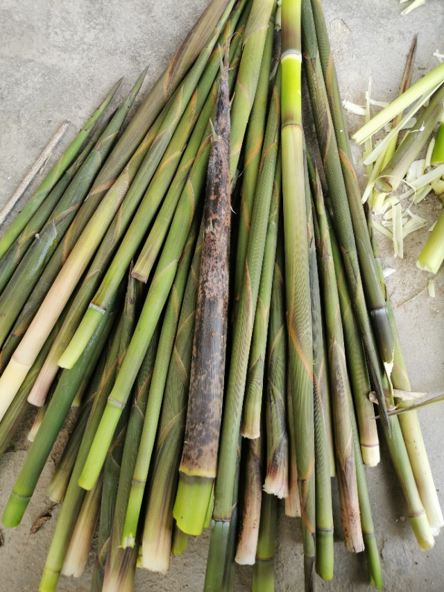 煮过的竹笋怎样在冰箱里长期保存,竹笋拔了怎么保存