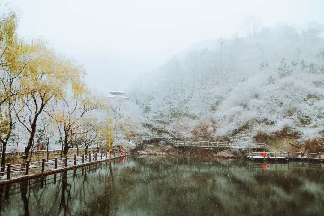 九如山什么季节去最好,九如山赏枫一日游