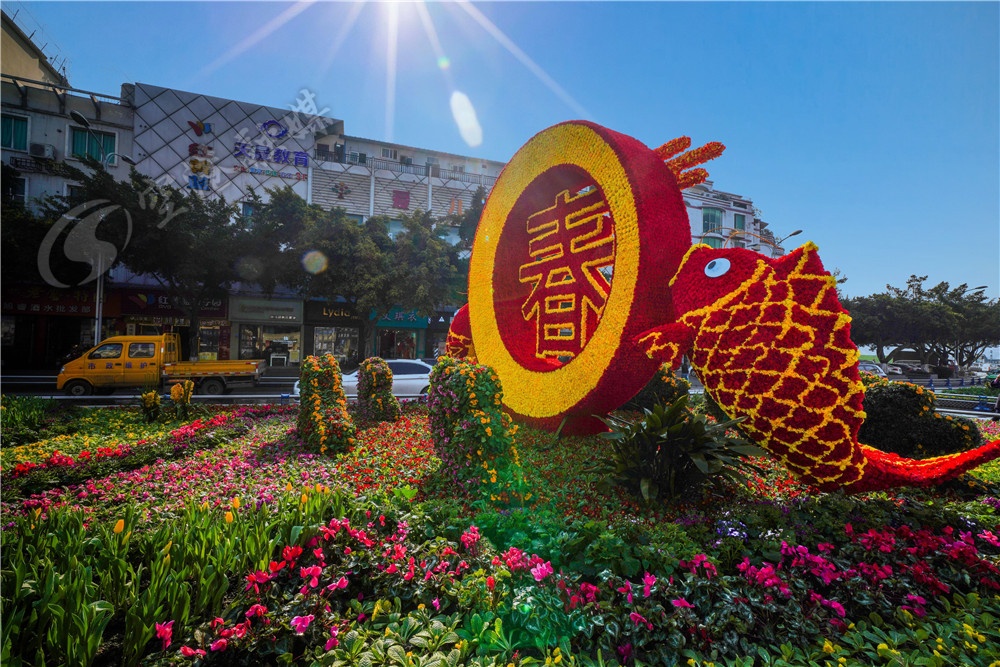 成都双流最新新闻,未来的双流会变成什么样子