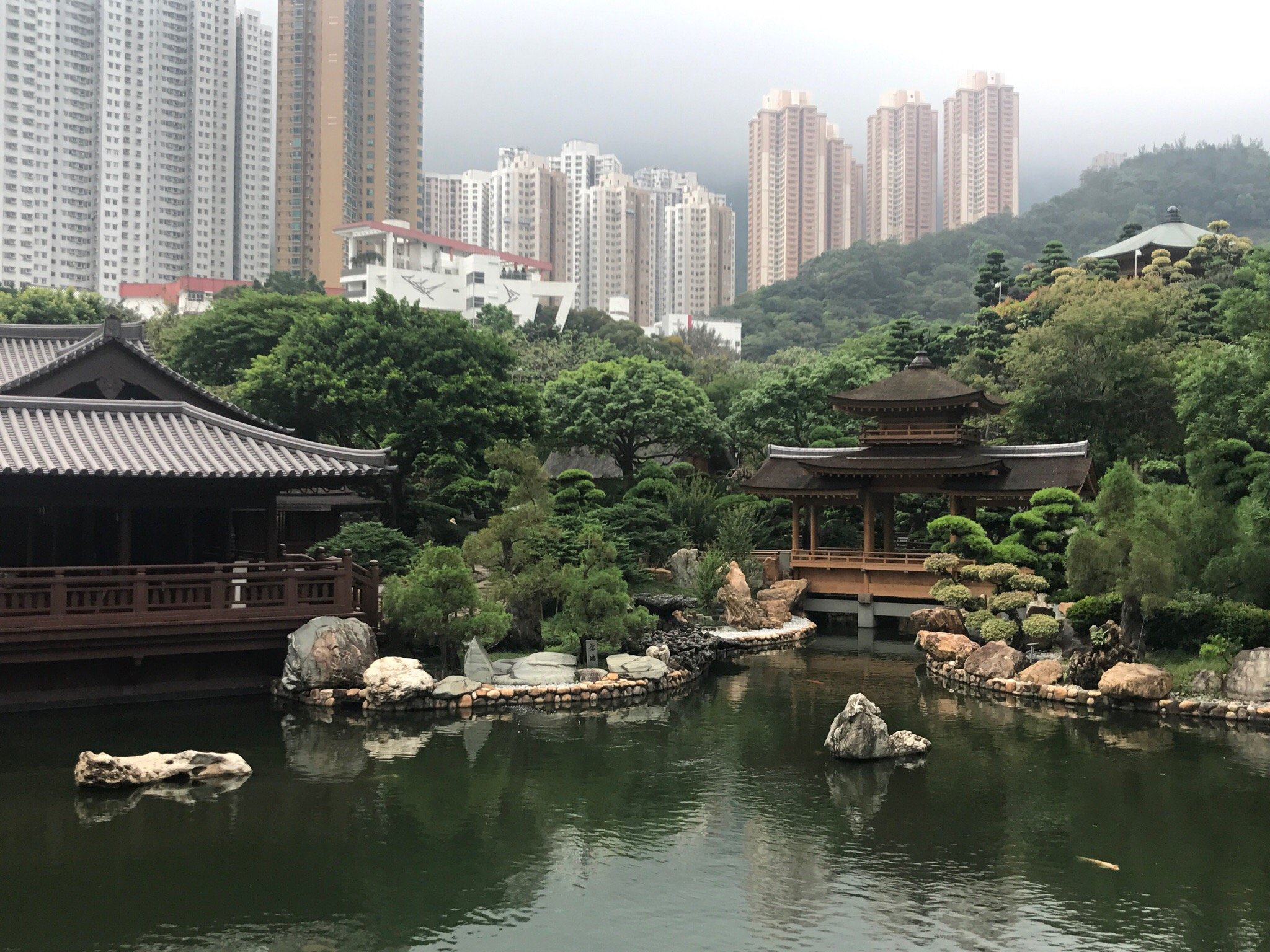 香港志莲净苑地图,香港志莲净苑好玩吗