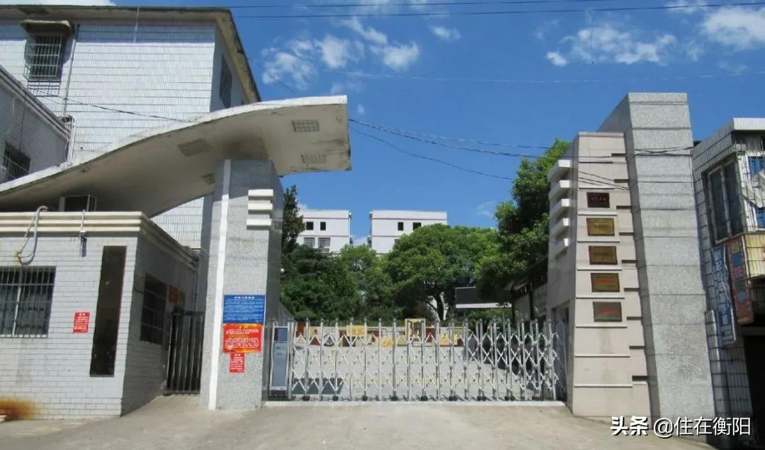 珠幼招生简章,珠晖区小学秋季招生计划