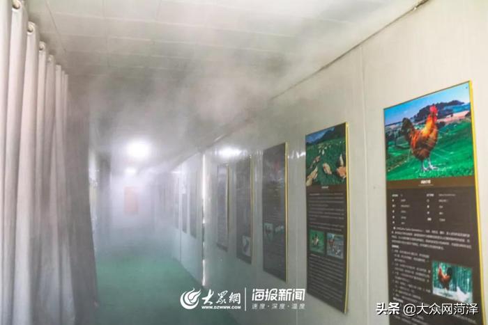 1元微力量捐款到武汉｜30枚爱心鲜鸡蛋26.8元，顺丰包邮到家