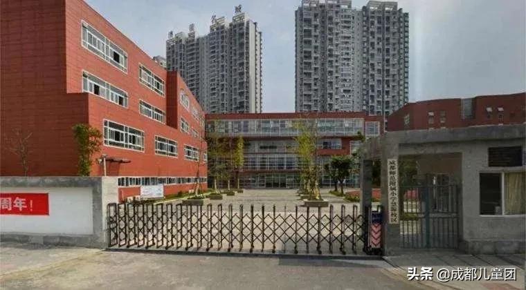 被称为五朵金花,成师附小华润分校算五朵金花吗