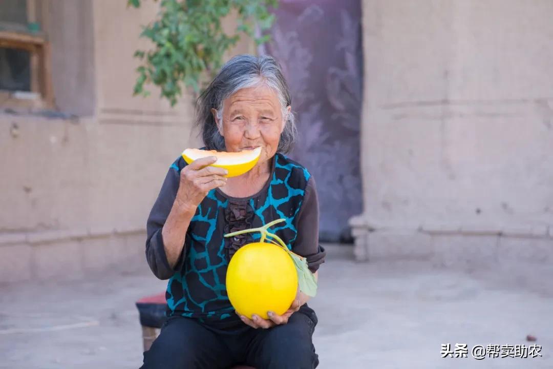 又香又甜又脆的蜜瓜,甜而不腻的蜜瓜好吃到停不下来