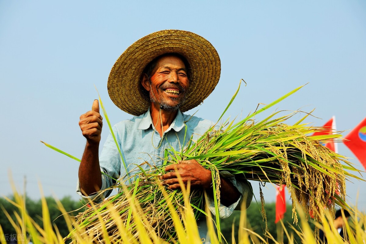 怎么直播卖家乡特产,家乡的土特产如何做才能在网上卖