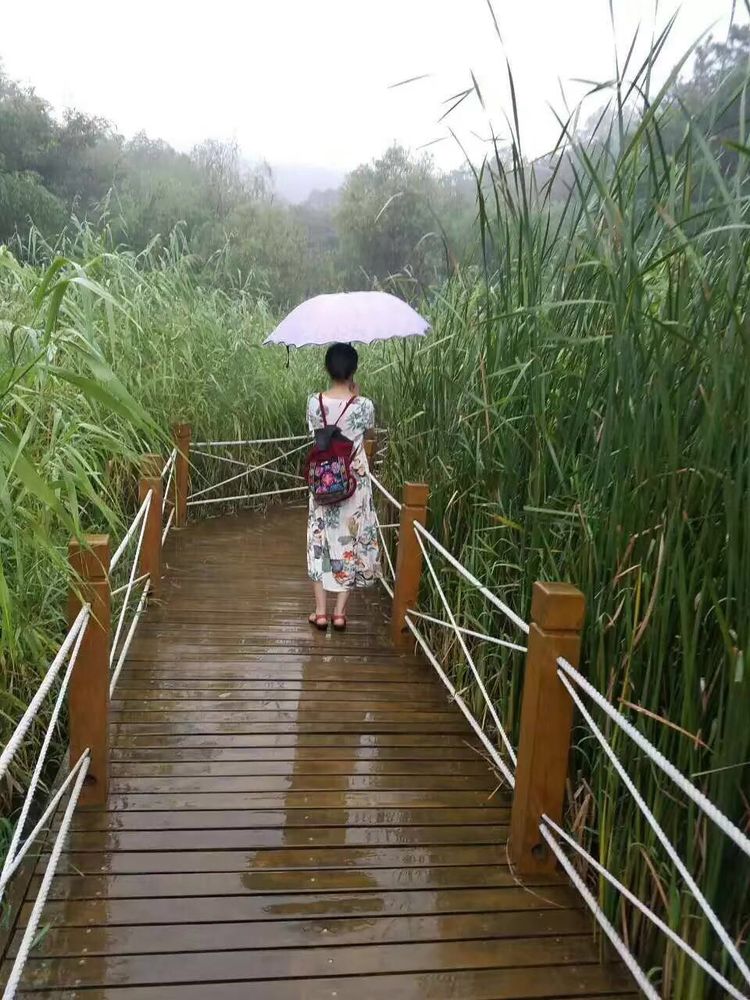 临沭冠山银杏树,临沭冠山道教