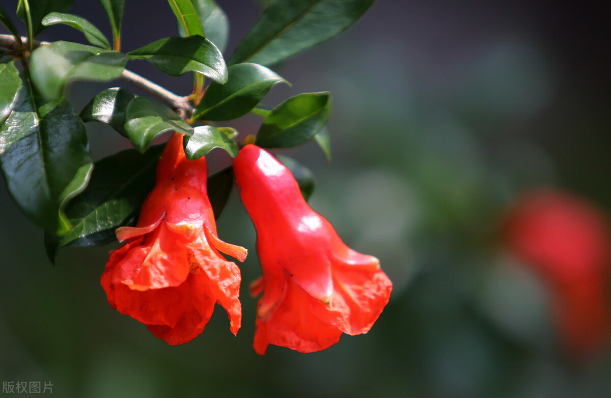 知和曰常全文,知和曰常是什么意思
