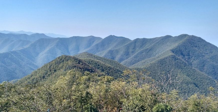 风景秀丽的宜兴竹海,漫步竹林呼吸大自然的清新