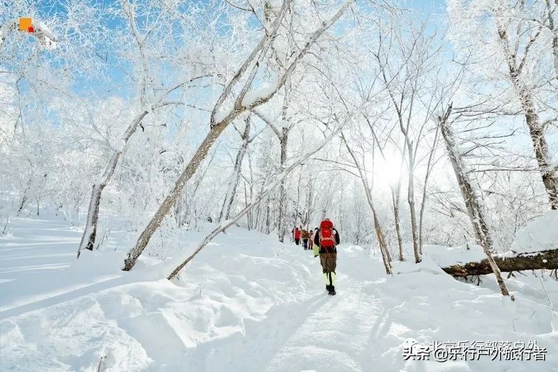冬天漠河白桦林童话世界完整视频,冰雪大世界长白山雪乡六天五晚