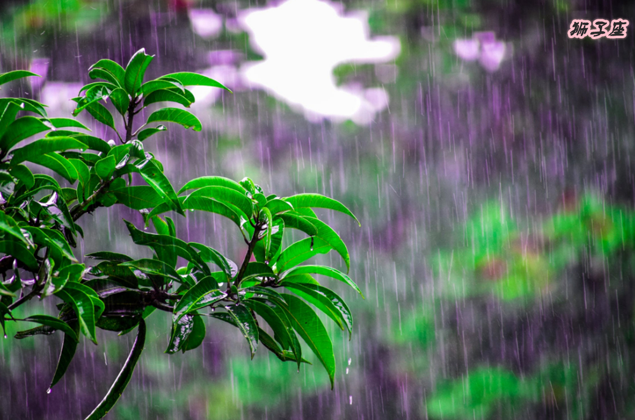 哪个星座男是钢铁直男,12星座中最直男的星座