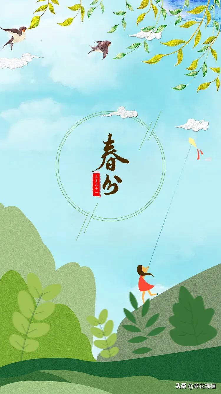 动画二十四节气春分,二十四节气春分解释