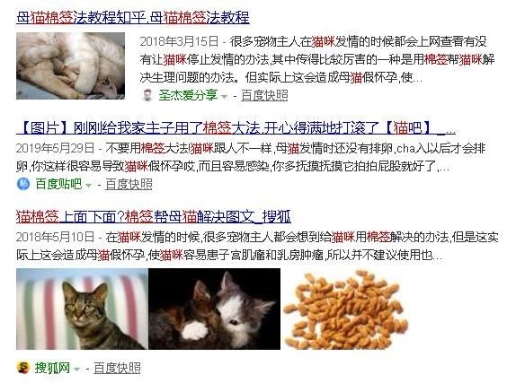 母猫发情,可以用棉签帮它捅?你还真信了?