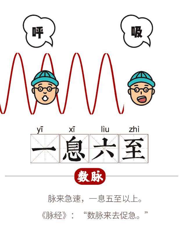 中医诊脉怎么辨别寒热虚实阴阳,中医把脉28种脉象对应的疾病