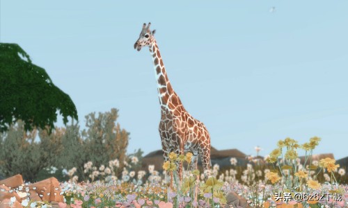 模拟人生3与模拟人生4,模拟人生4你不知道的游戏小技巧