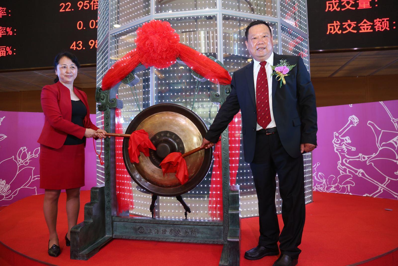 益阳电容器巨头,益阳电容器大王