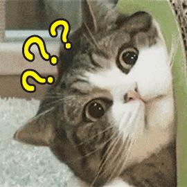 哪些月季品种抗病强,抗病性好月季有哪些