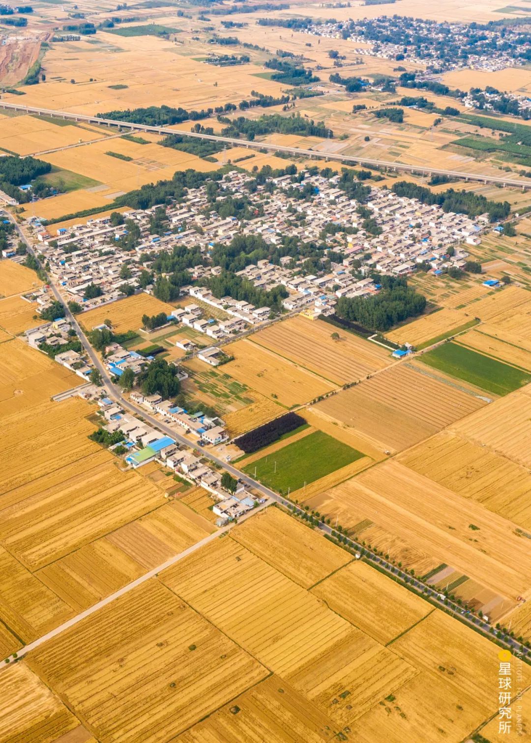 什么是黄河朗诵,什么是黄河洪水