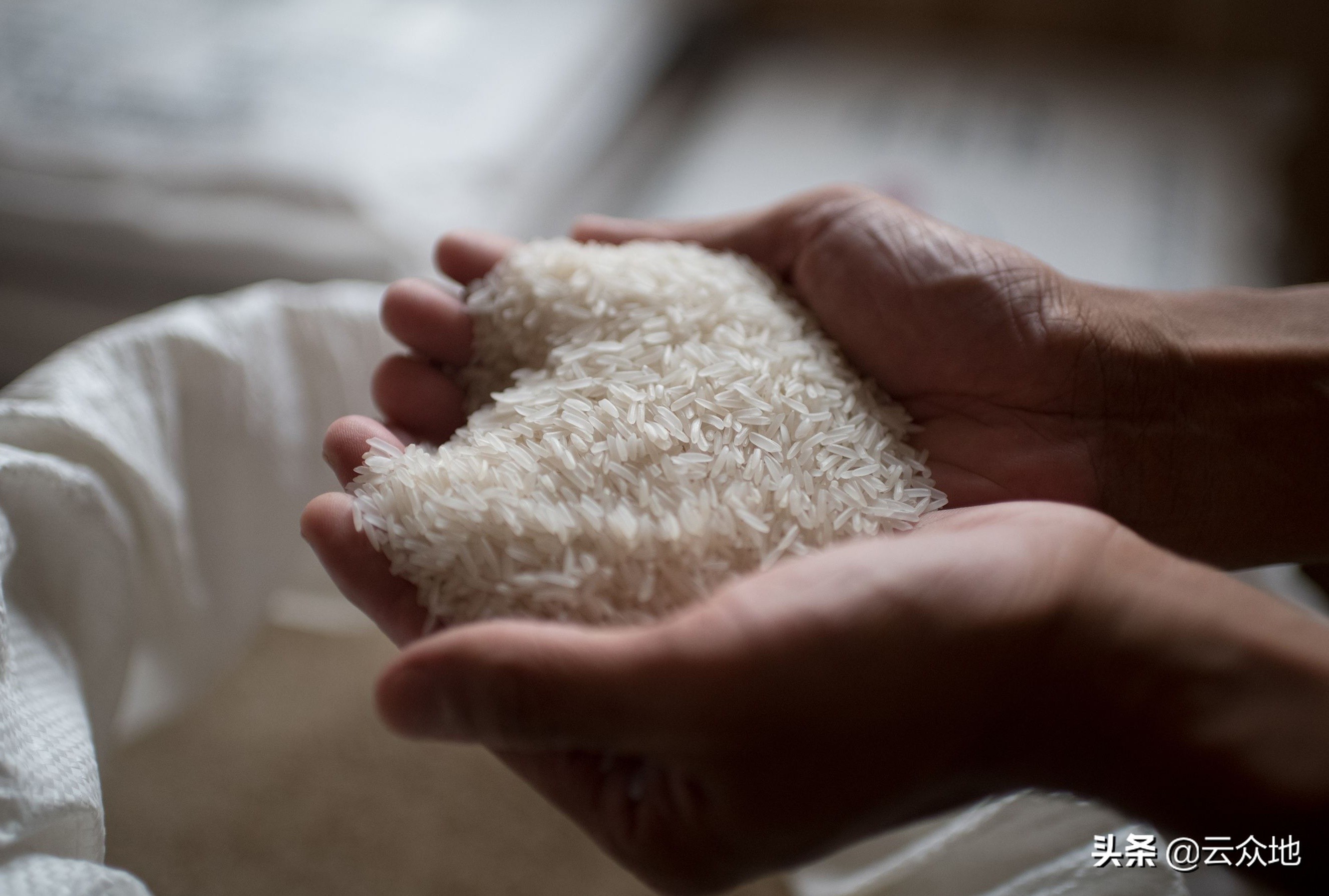 大米怎么保管不长虫,大米的存放不长虫方法