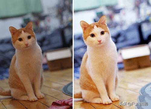 手机摄影掌握这十个技巧,手机摄影技巧入门教程