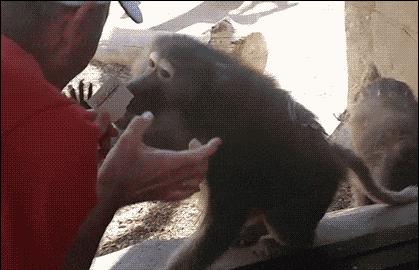 拿到驾照搞笑段子,成绩优异搞笑段子