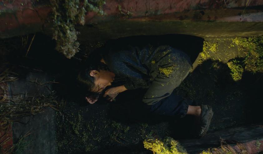 36万人打9分!《水怪2:黑木林》,赢在哪里?