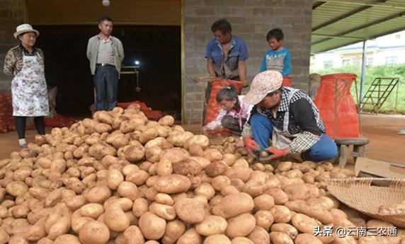 让天下没有难卖的农产品,让农民的产品不愁卖