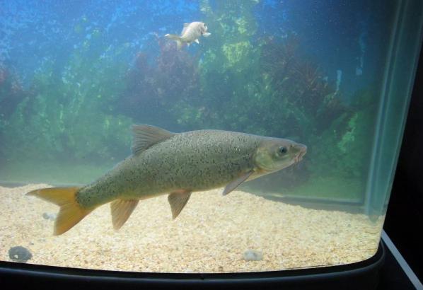 毕节旅游最好的地方,毕节旅游攻略必玩的景点