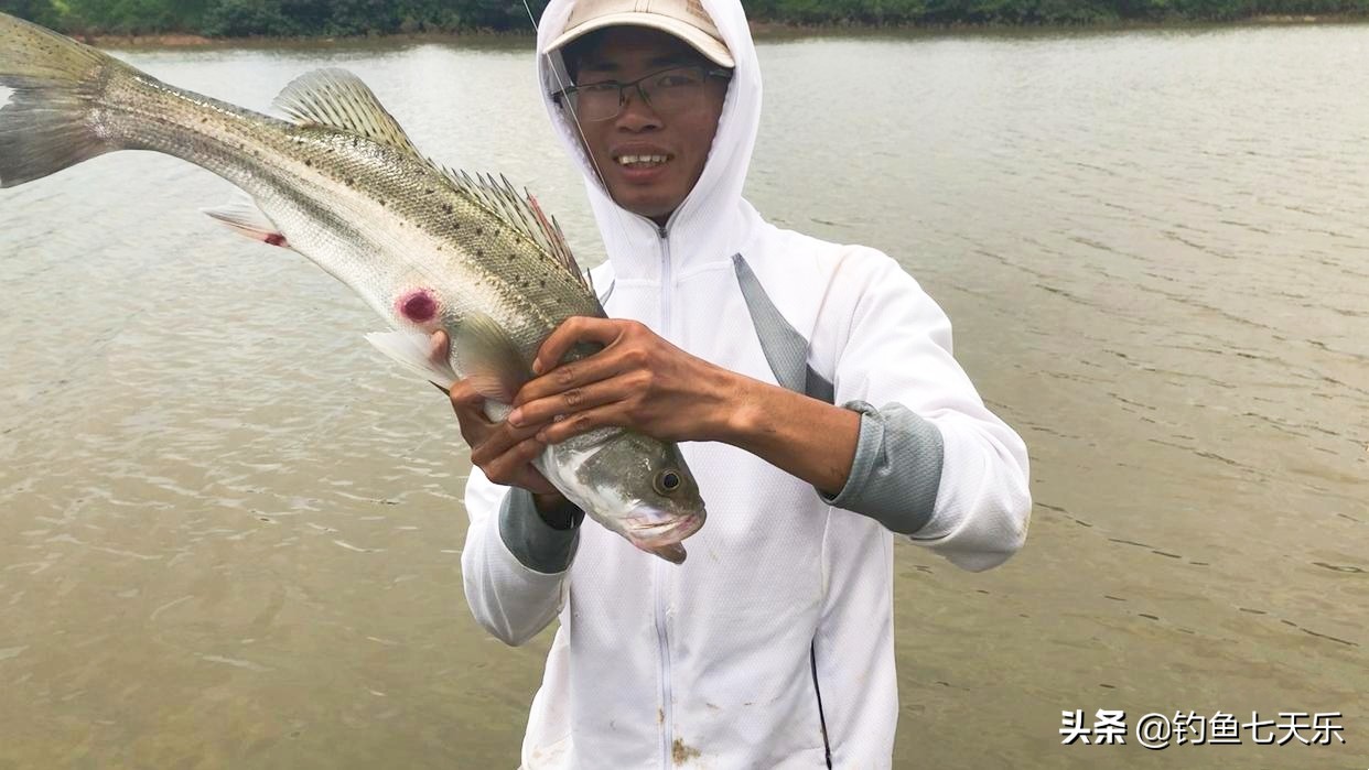 靠海钓捞鱼致富,海钓一条鱼赚100万