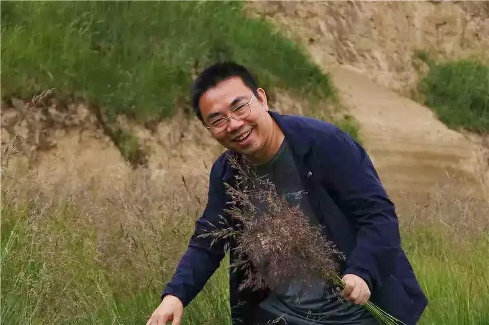 诗意天祝‖送你一把芨芨草