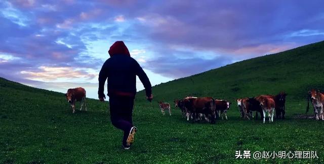 心理学对赵小明的看法,赵小明心理治疗