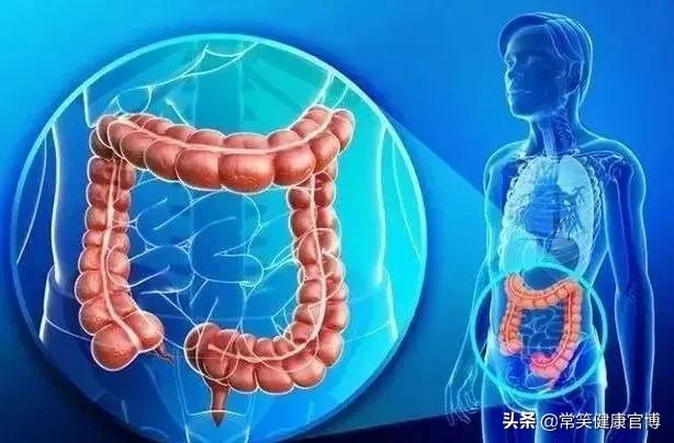 菊花有鲜红血是为什么,菊花有紫红色血