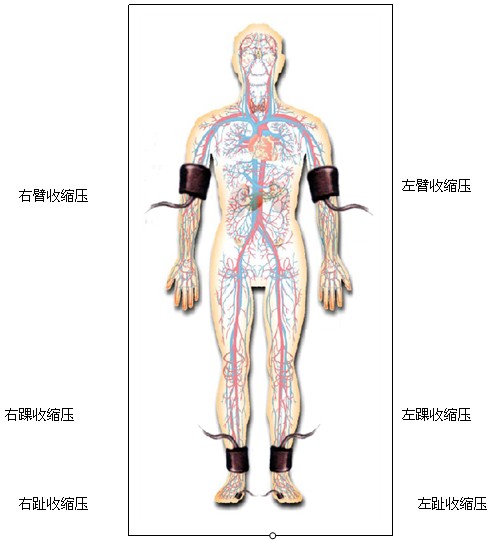 新发现的继发性高血压,错过也许就是一生原版