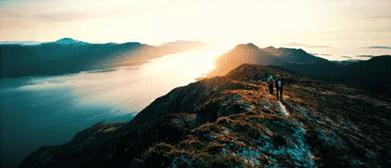 如何追回骗子骗的钱,测评paypal如何追回货款