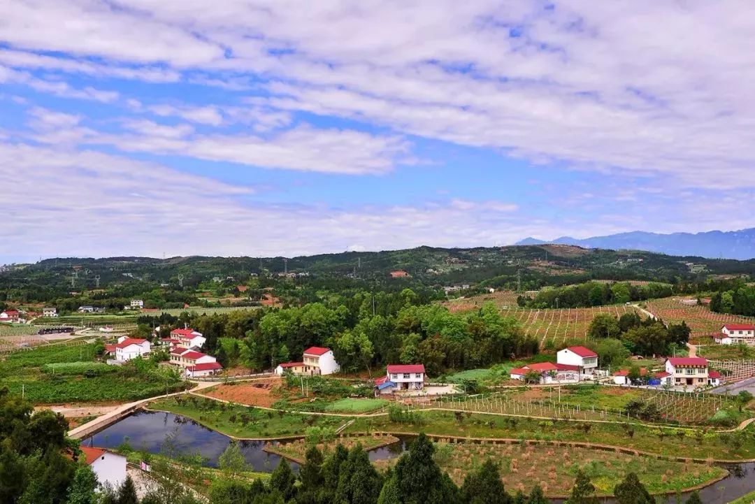 农村改造100个经典案例,乡村田园改造经典案例