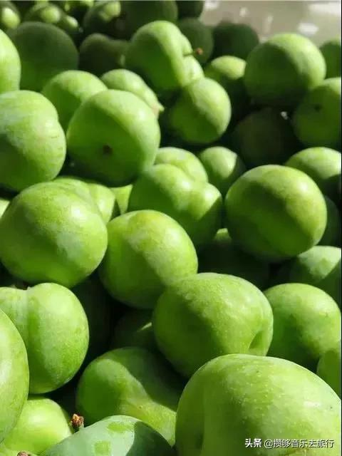 汶川三宝有哪些,汶川三宝市场枇杷