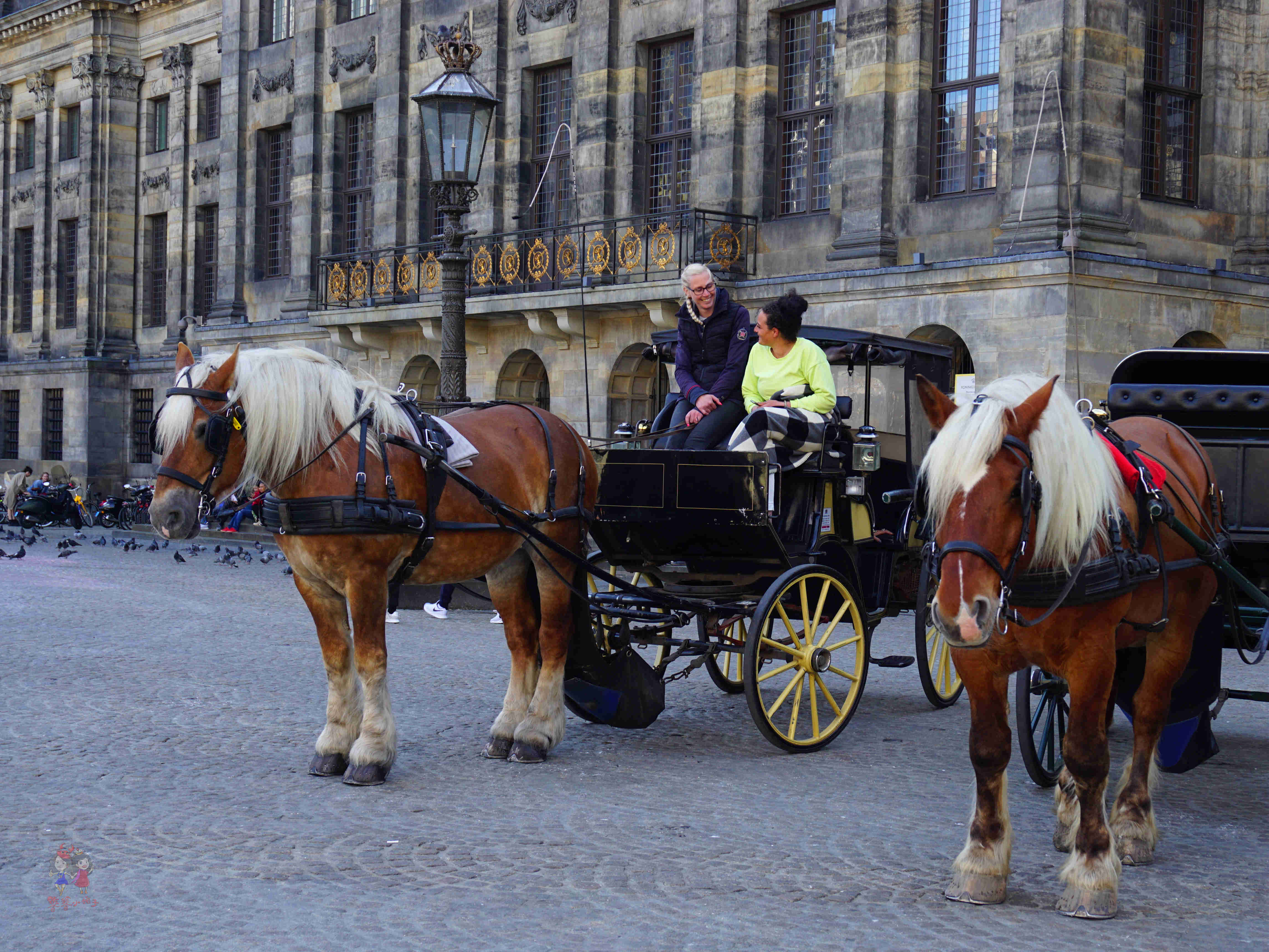 阿姆斯特丹暴走一日游,暴走阿姆斯特丹