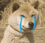 冷空气来袭秋裤穿了吗,冷空气来了一夜之间想穿秋裤了