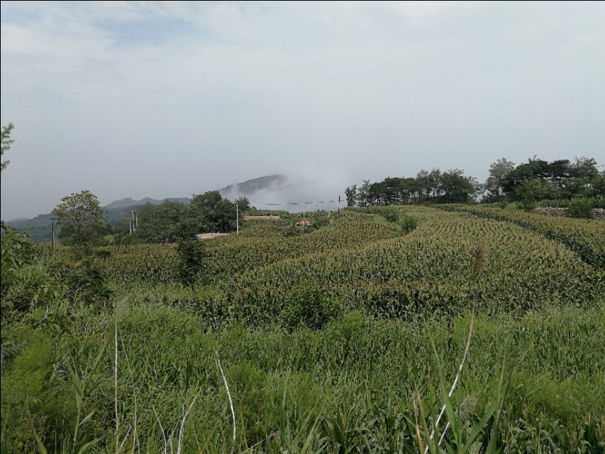 大可老师合集,大可老师讲座