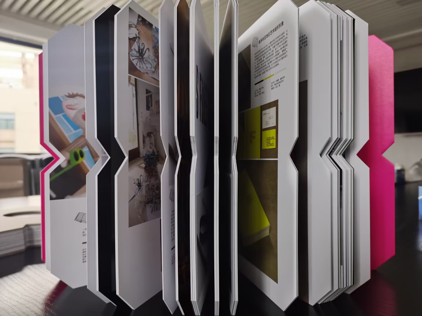 优秀书籍装帧设计作品及文字说明,艺术书籍装帧设计作品