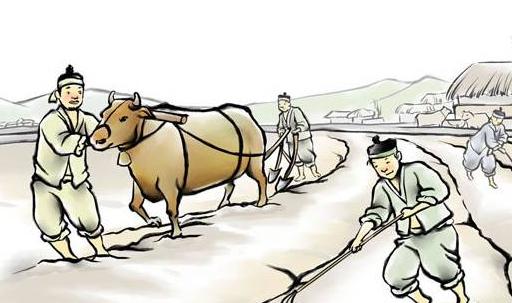 五谷与六畜指的是,五谷和六谷是什么文化常识