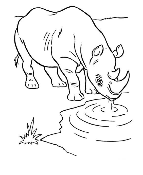 画画入门教程干货博主,基础入门画画必知