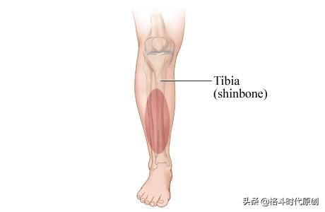 怎么练习泰拳扫踢胫骨比以前粗了,泰拳练习踢树
