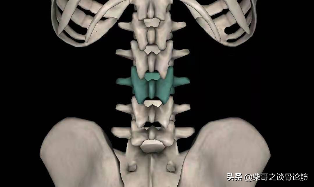 椎间盘突出腰酸怎么治,椎间盘突出是常见病吗