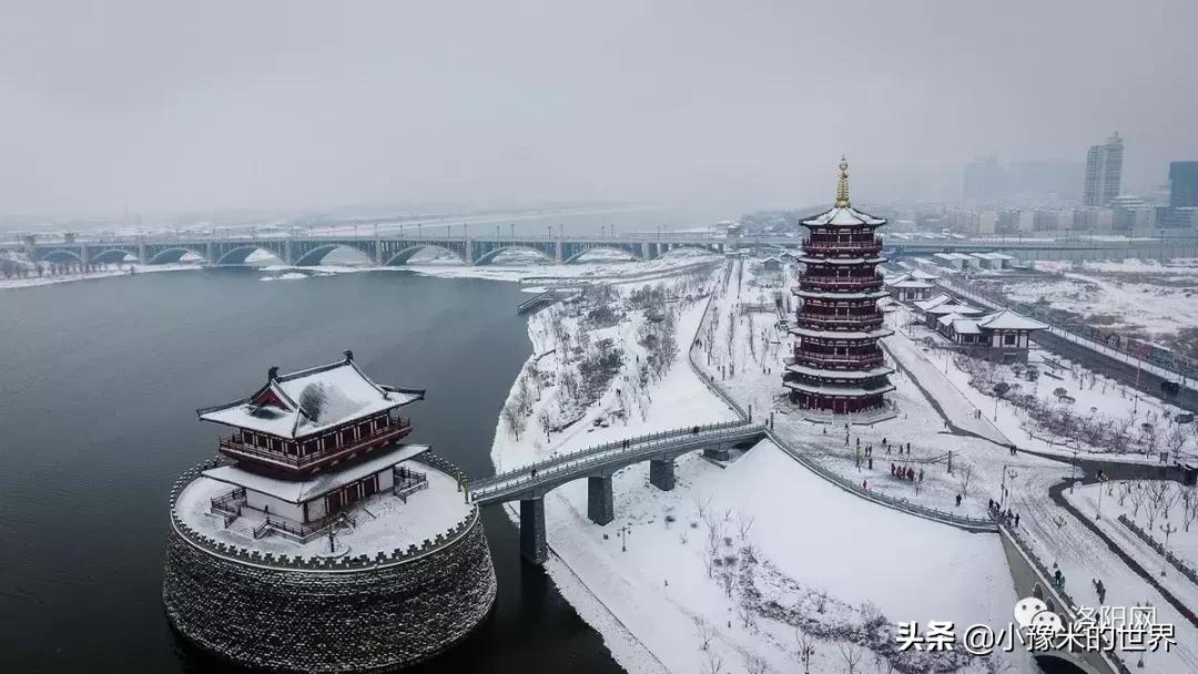 向洛阳人发出邀请国潮盛宴来袭,洛阳发布通知