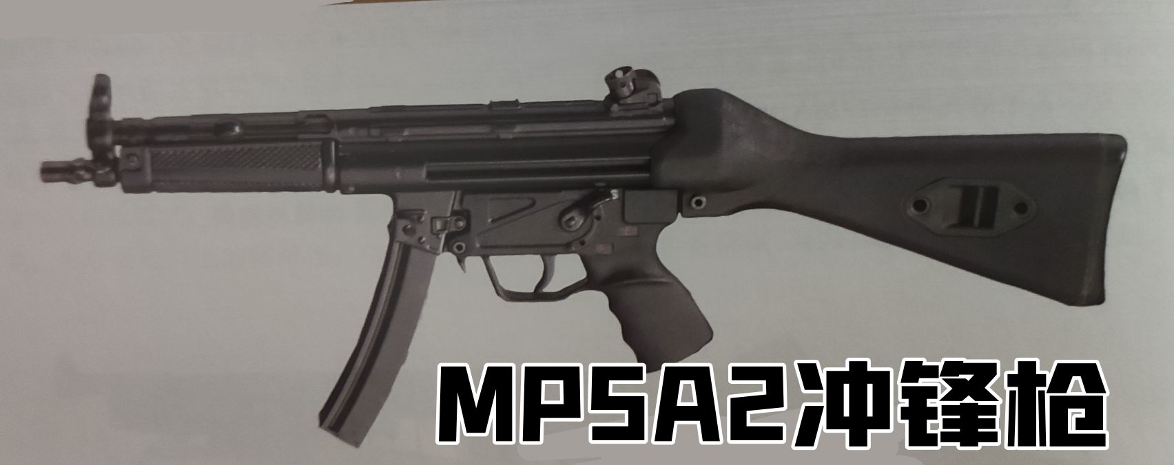 英国枪史图册全篇,德国枪图片