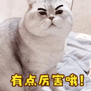 厦门海沧63亿项目,海沧2024年重点项目集中开工