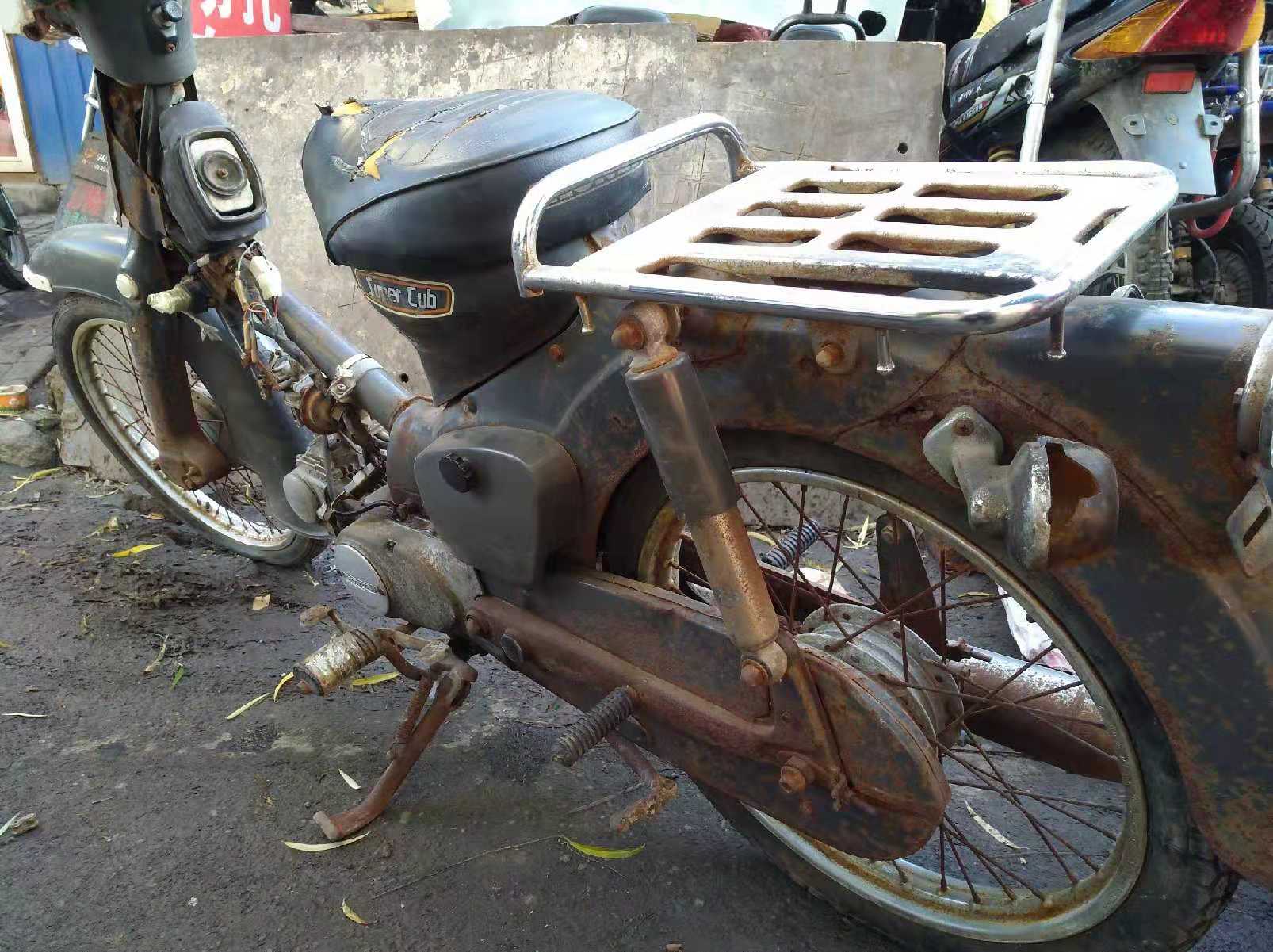 本田幼兽和威武的区别,本田幼兽多厉害